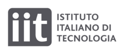 iit logo